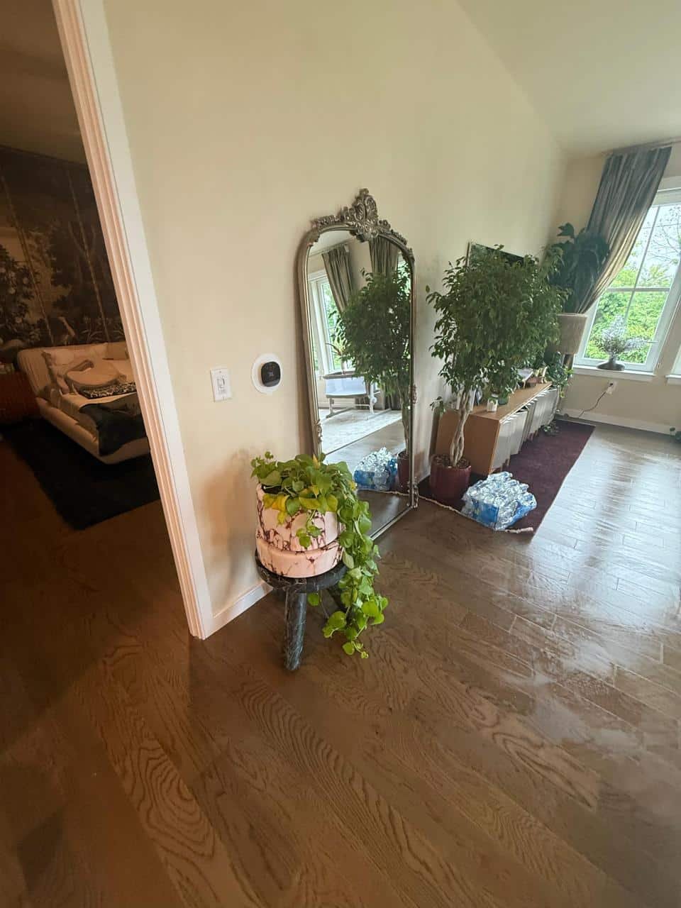 Freshly maintained living space